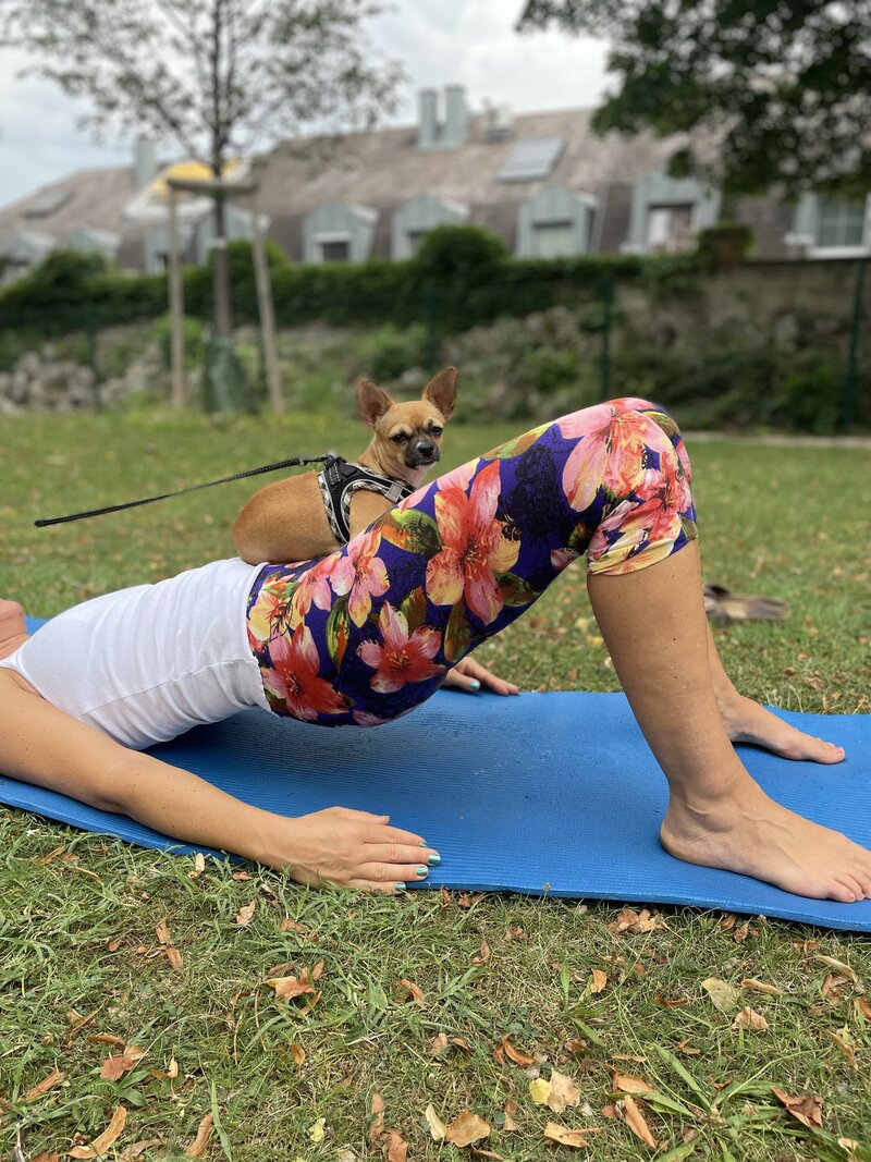 Pilates, Ernährungstraining und zyklusorientiertes Training in den Bezirken Mödling und Baden für ganzheitliches Wohlbefinden – sowie Fit im Büro: Dein Team-Training für mehr Gesundheit am Arbeitsplatz.