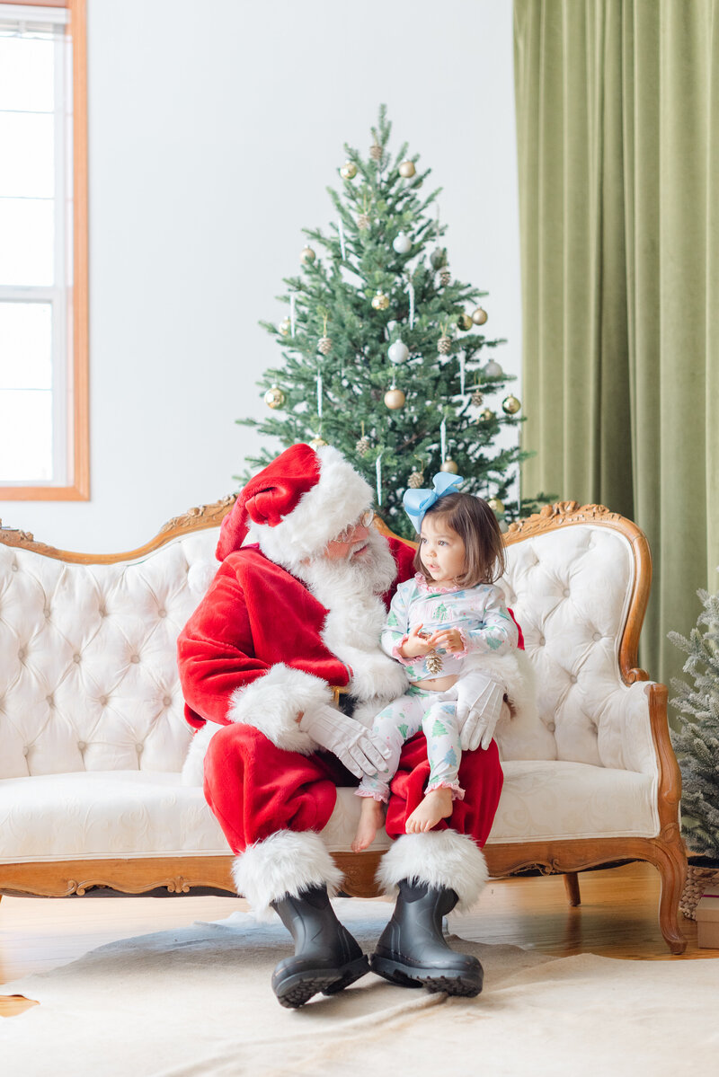 Leslie Nice Photography Santa-2642