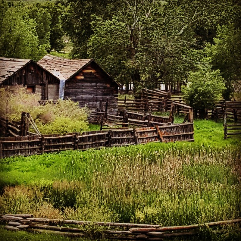 EverettRanch022SalidaColoradoWeddingsRusticOutdoorBarnFamilyCollegiatePeaks