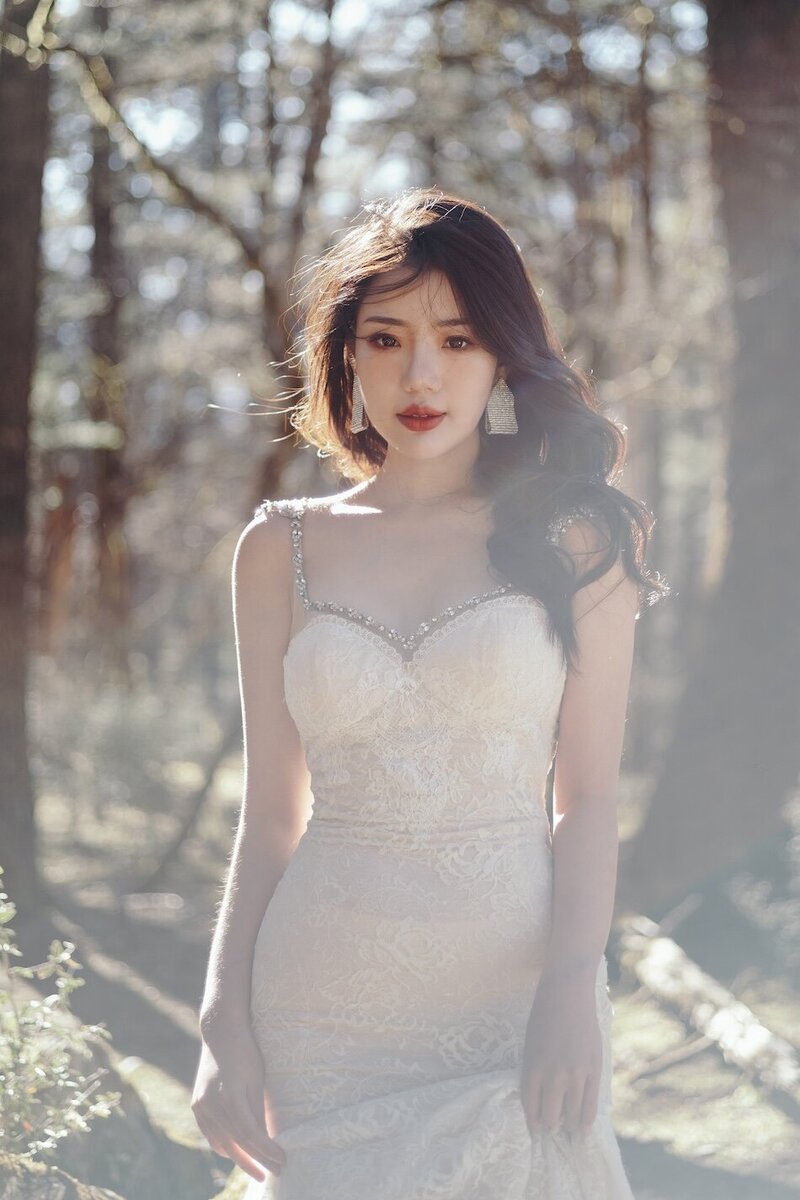 Bride in a couture dress shot in dramatic trees with mountains in the background.