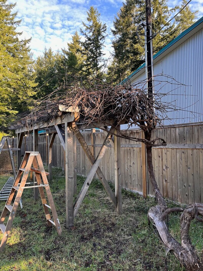 landscape-help