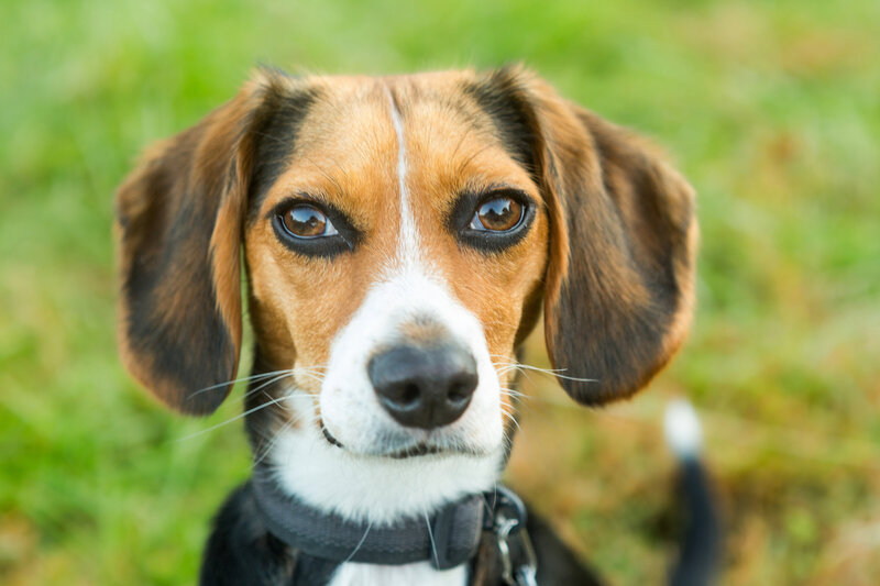 Jimenez Family Session 2024 Kristina Cipolla Photography-74