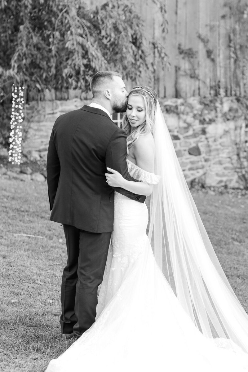 Peter and Shannon - NoVa wedding-58