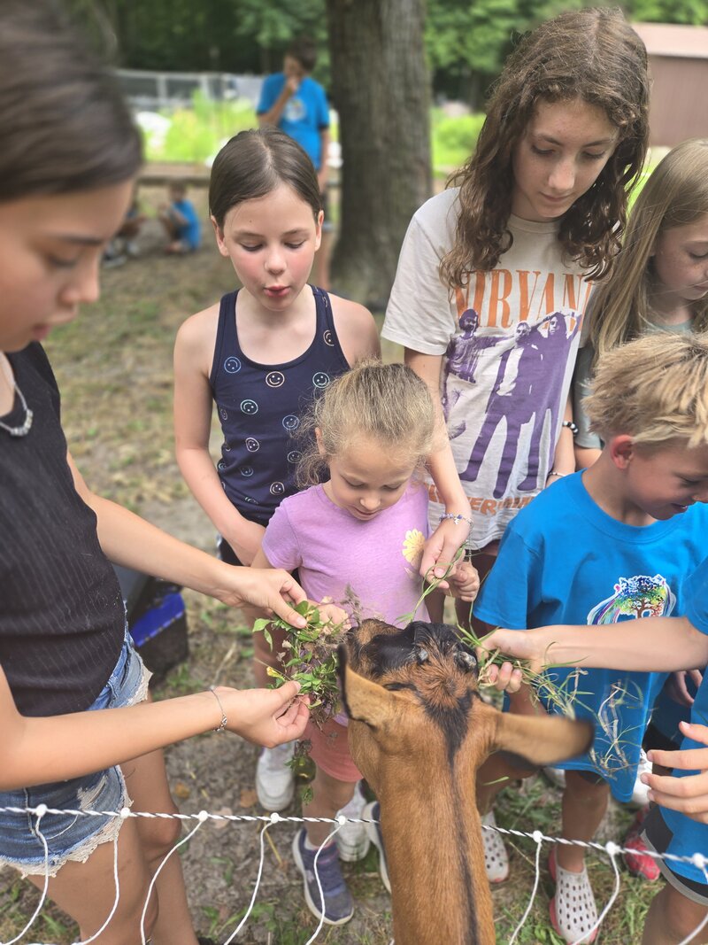 Children feeding a goat at ROOTS