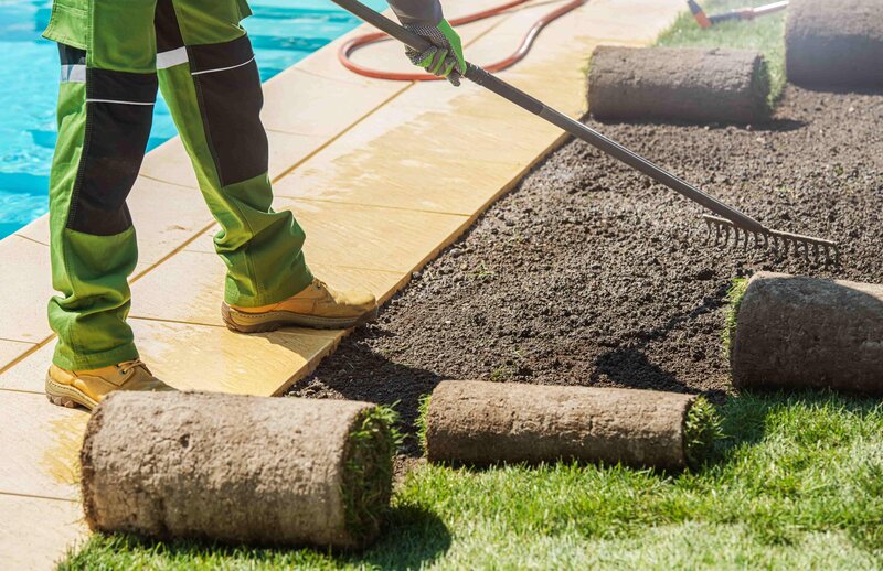 carrollton sod installers