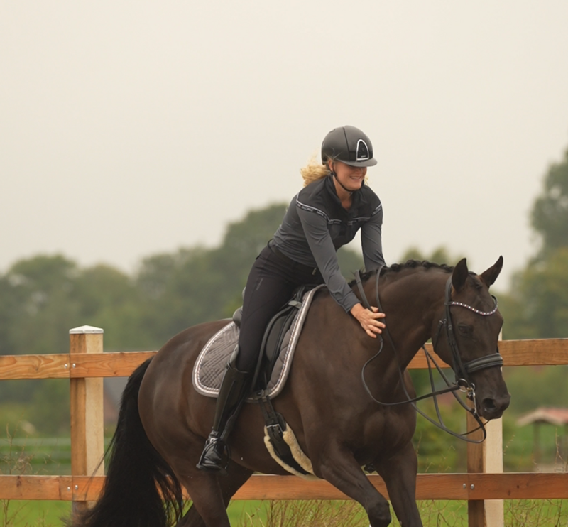 Paard loopt ontspannen na voeren supplement voor maagzweren.