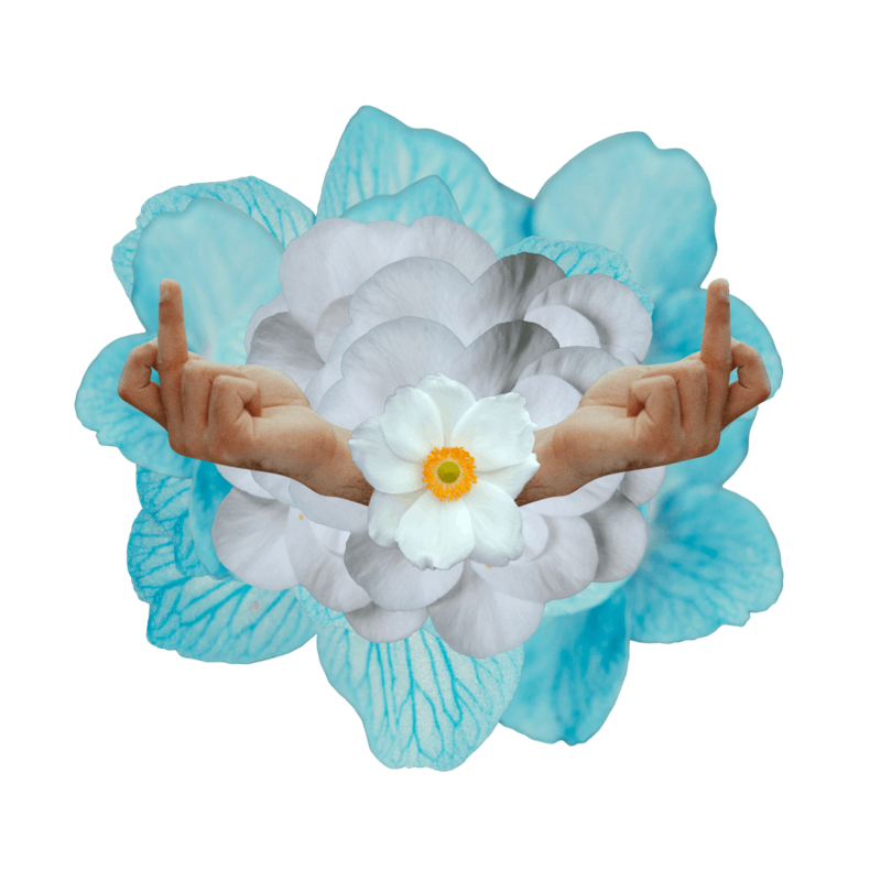 Two hands giving the middle finger collaged in white and blue flowers