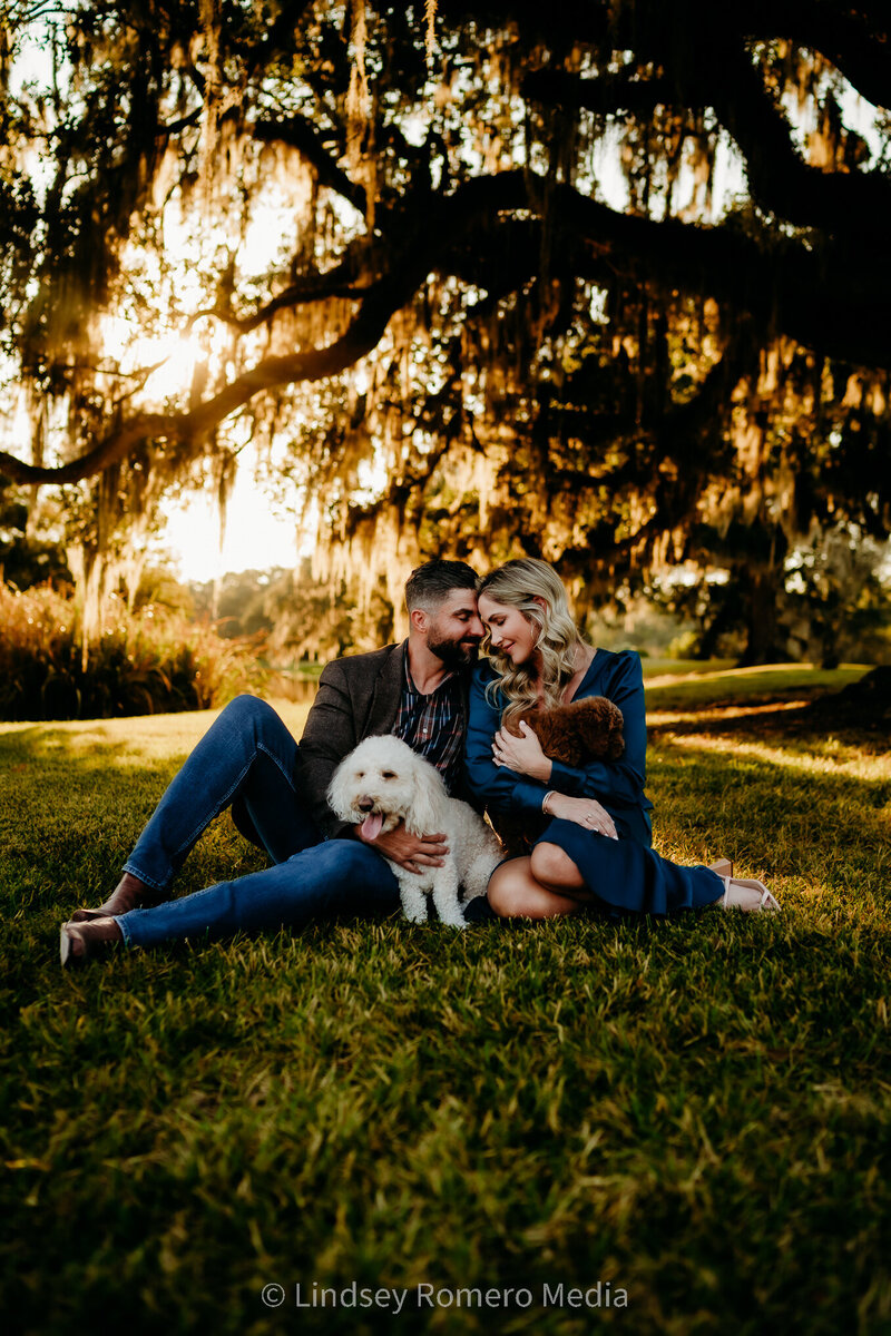 couples pose with puppies at golden hour at avery island, new Iberia, la