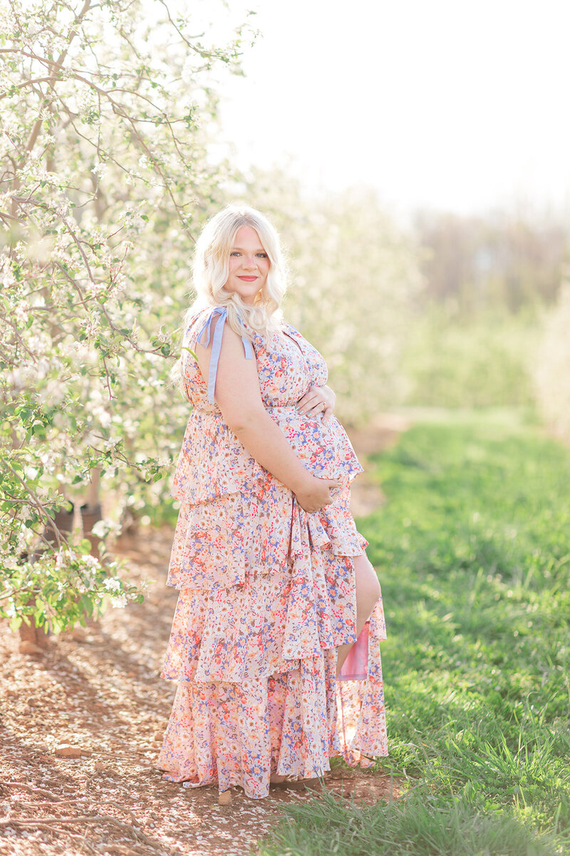 Wilkesboro NC Apple Orchard Maternity-231