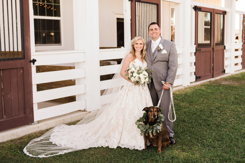 dog in wedding