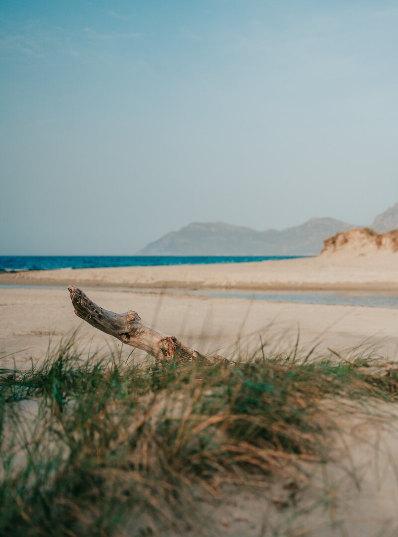 Strand mit Gras und Ästen, Meer und Berge im Hintergrund