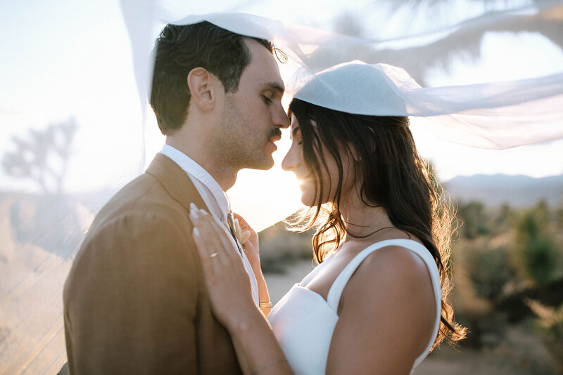 susnet veil wedding portraits