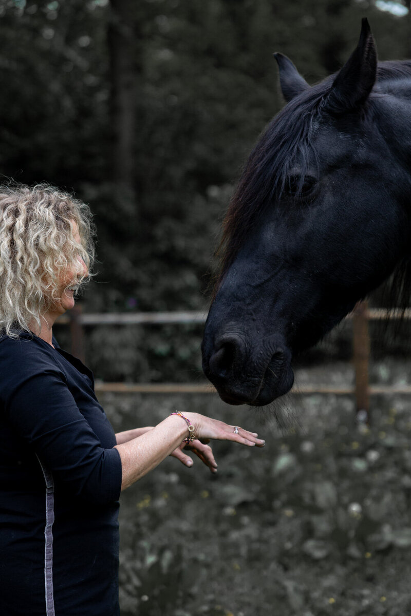 Paarden zijn heel sensitief en spiegelen heel natuurlijk jouw gedrag tijdens coaching sessie in Drenthe.