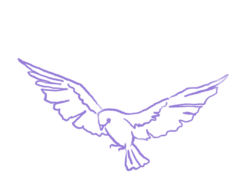 Illustration d'un oiseau violet