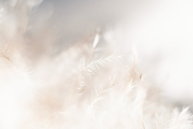 angel readings