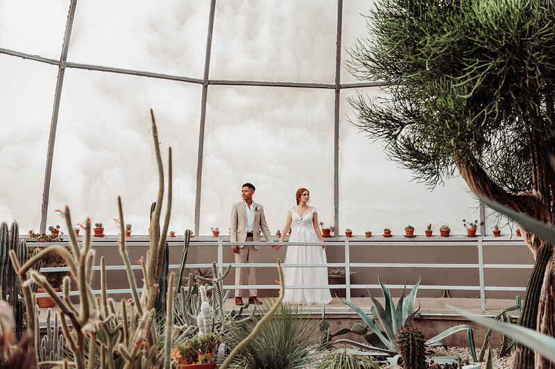 Bride and groom in greenhouse for portraits