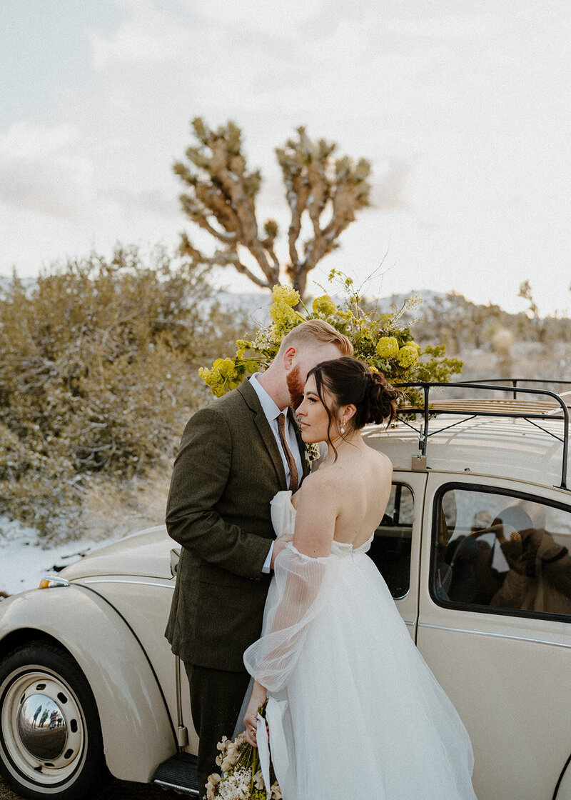 Joshua Tree Elopement Photographer