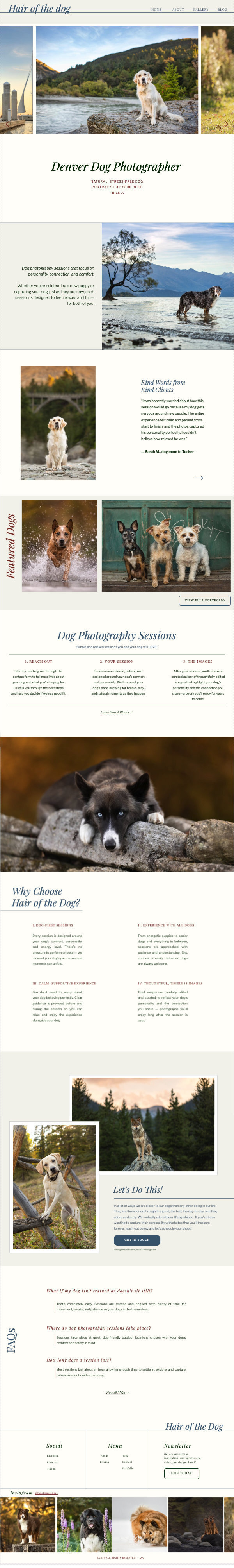 Dog and Pet Photography Website Template
