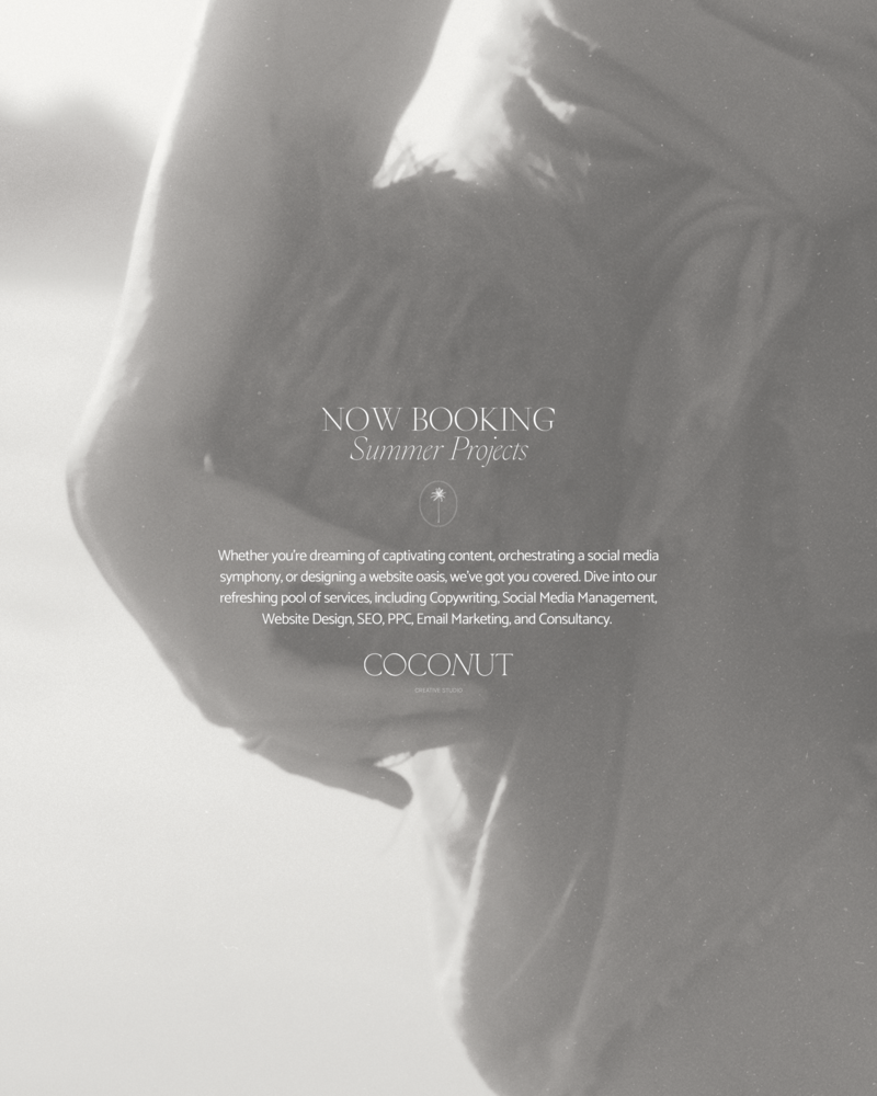 coconut-creative-studio-graphic-design-social-media-studio-petita-7