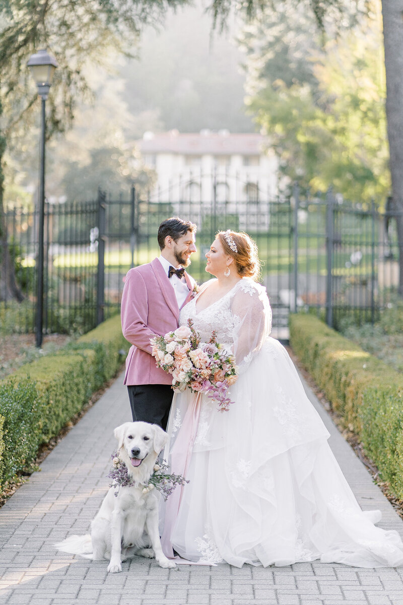 A bride and groom pose with their dog in front of the gate at the Villa Montalvo Wedding Venue.
