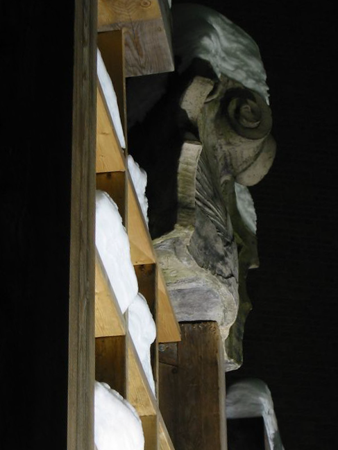 trellis1