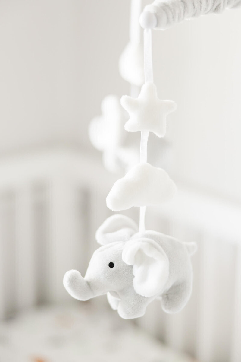 Rockhampton-Newborn-Photographer-133