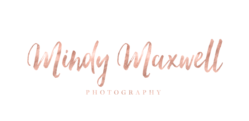 MindyMaxwell-Logo-PNG