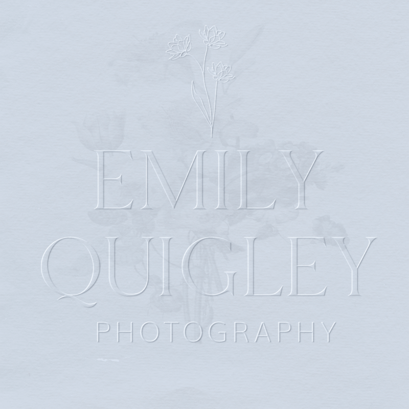 branding-suite-for-wedding-photographer