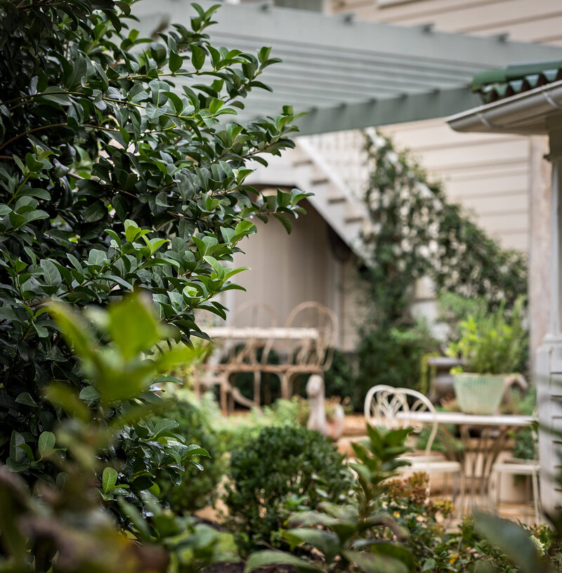 Atlanta-Hardscape-Renovation-9661