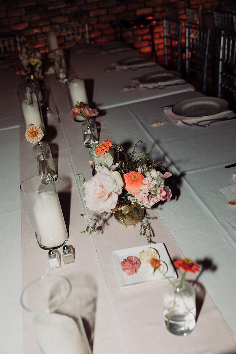 Burlington, Wisconsin wedding photographerPflum_Reception_1010