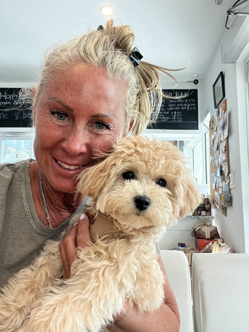 Cavapoo Therapy Dog