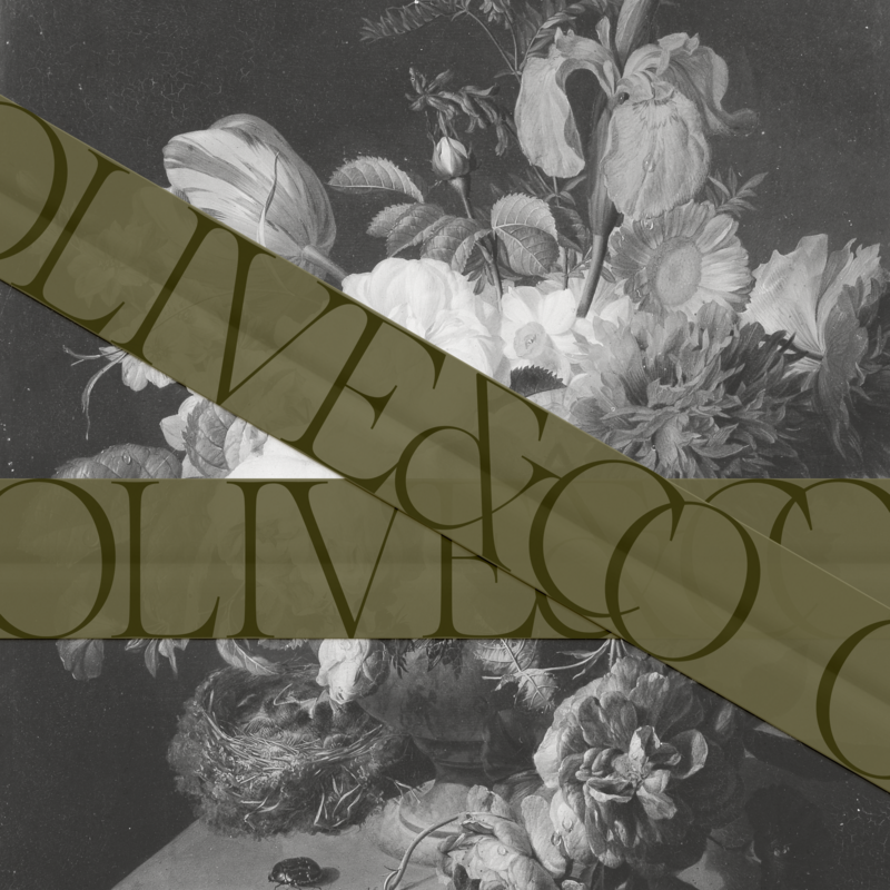 Olive & Co Mockups 19