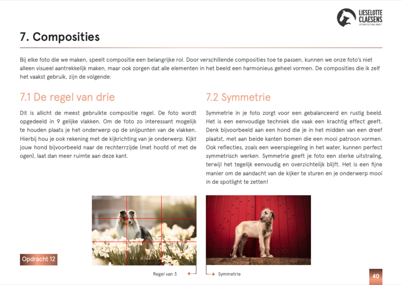 Scherm­afbeelding 2025-03-24 om 17.20.03