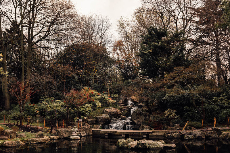 Zach-Lizs-Proposal-at-Kyoto-Garden-3