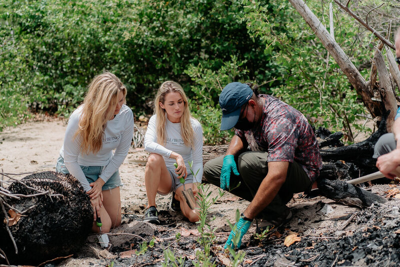 vieques_founders planting