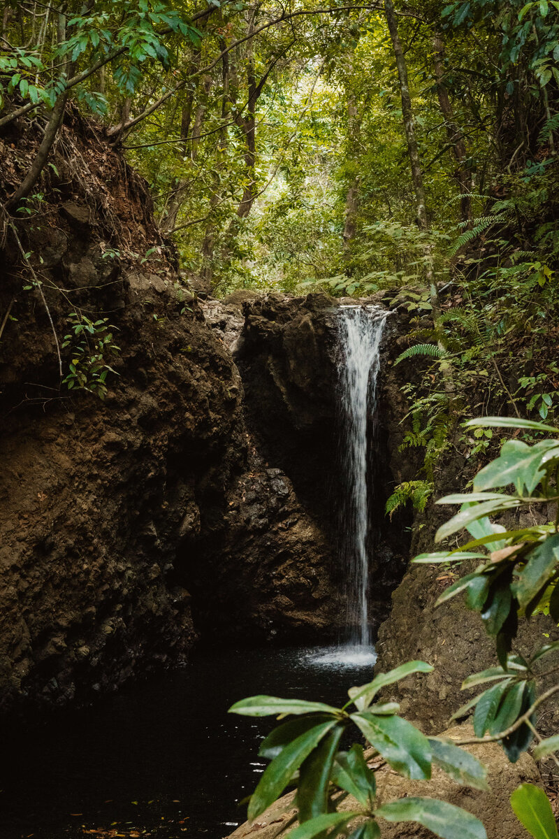 Two girls walking down lush walkway