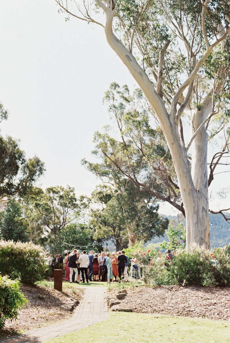 Southern Highlands White Luxury Country Olive Grove Wedding by Fine Art Film Australia Destination Wedding Photographer Sheri McMahon-66