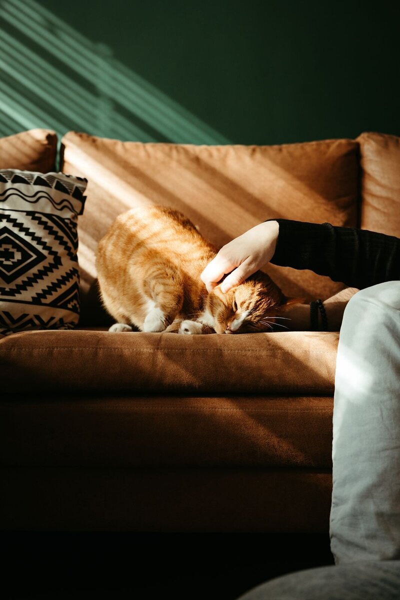 Get-framed-photography-newborn-11