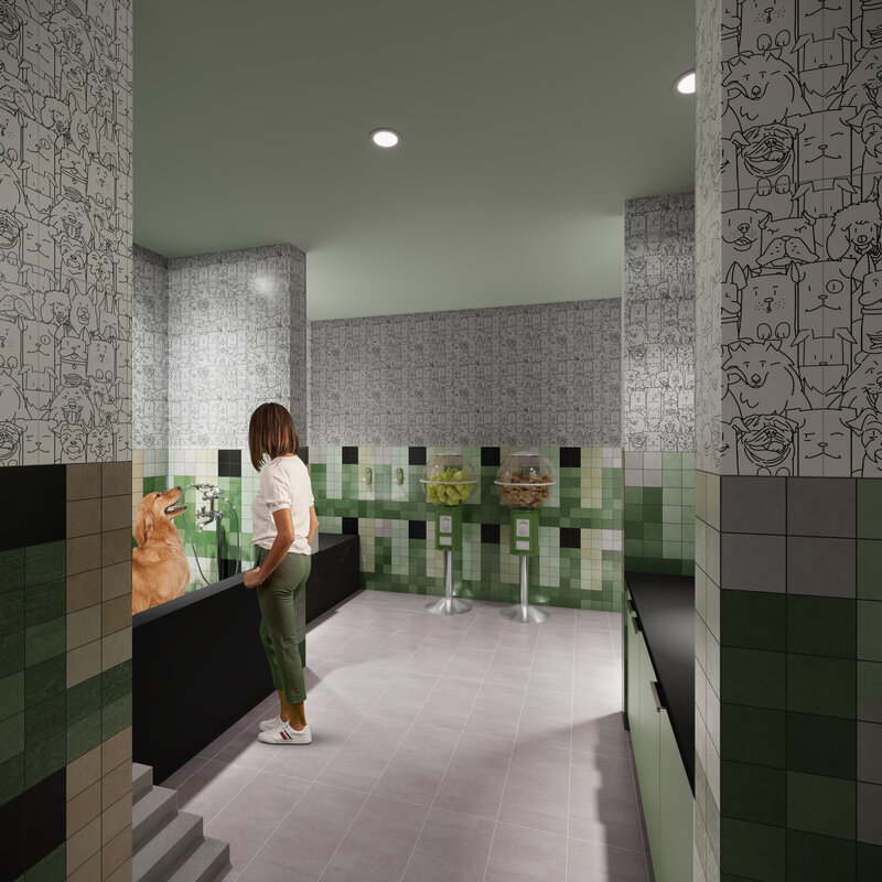 Dog Wash1