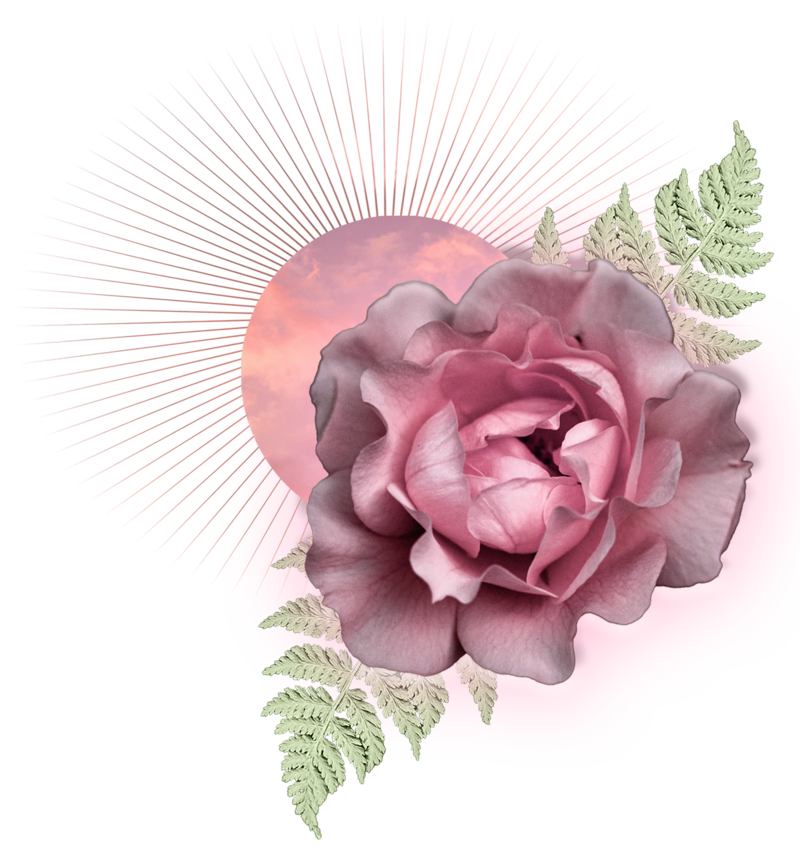 Glowing Pink Rose Representing Animal Communication Course
