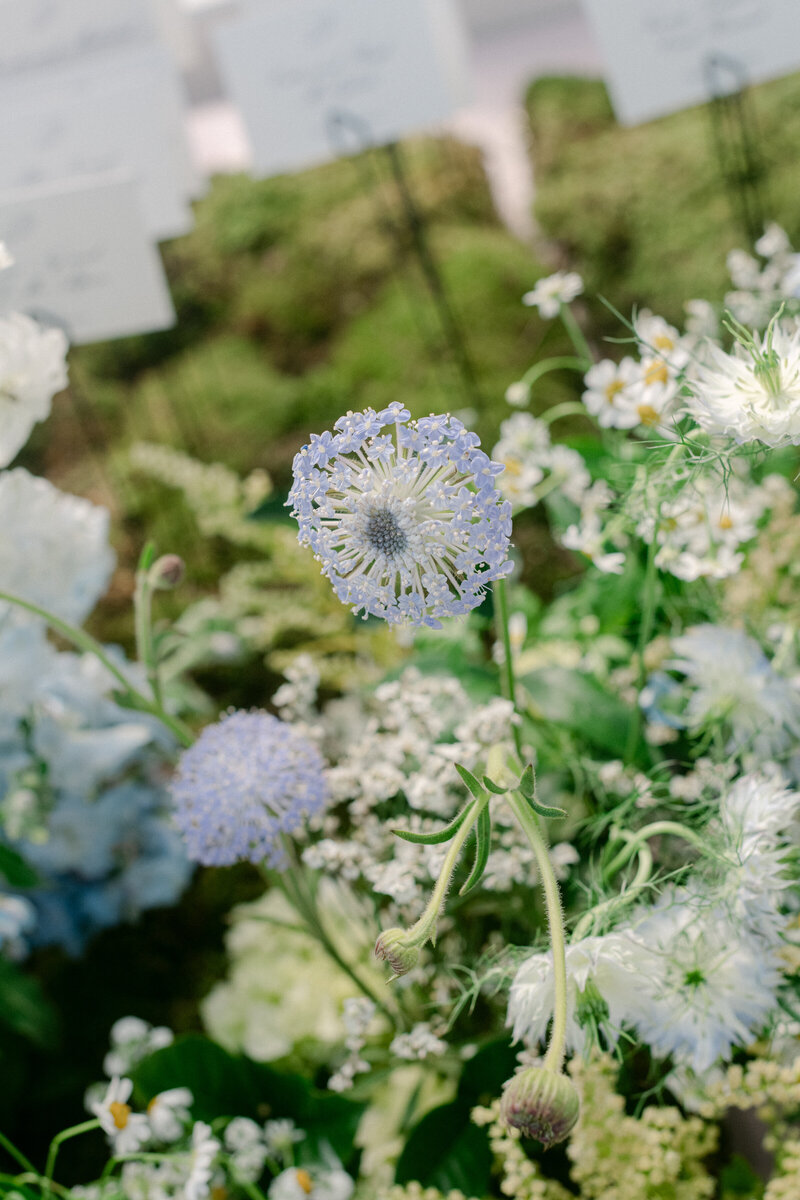 Joseph-Rogero-Wedding-Photographer---_JR2_2356