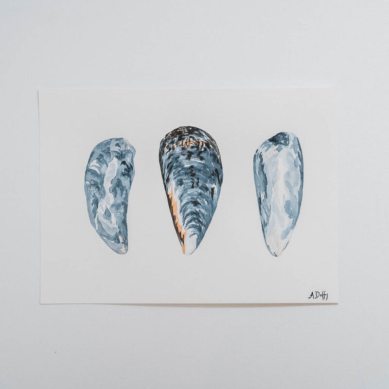 Watercolor painting featuring three blue mussel shells by Port Angeles artist Amy Duffy