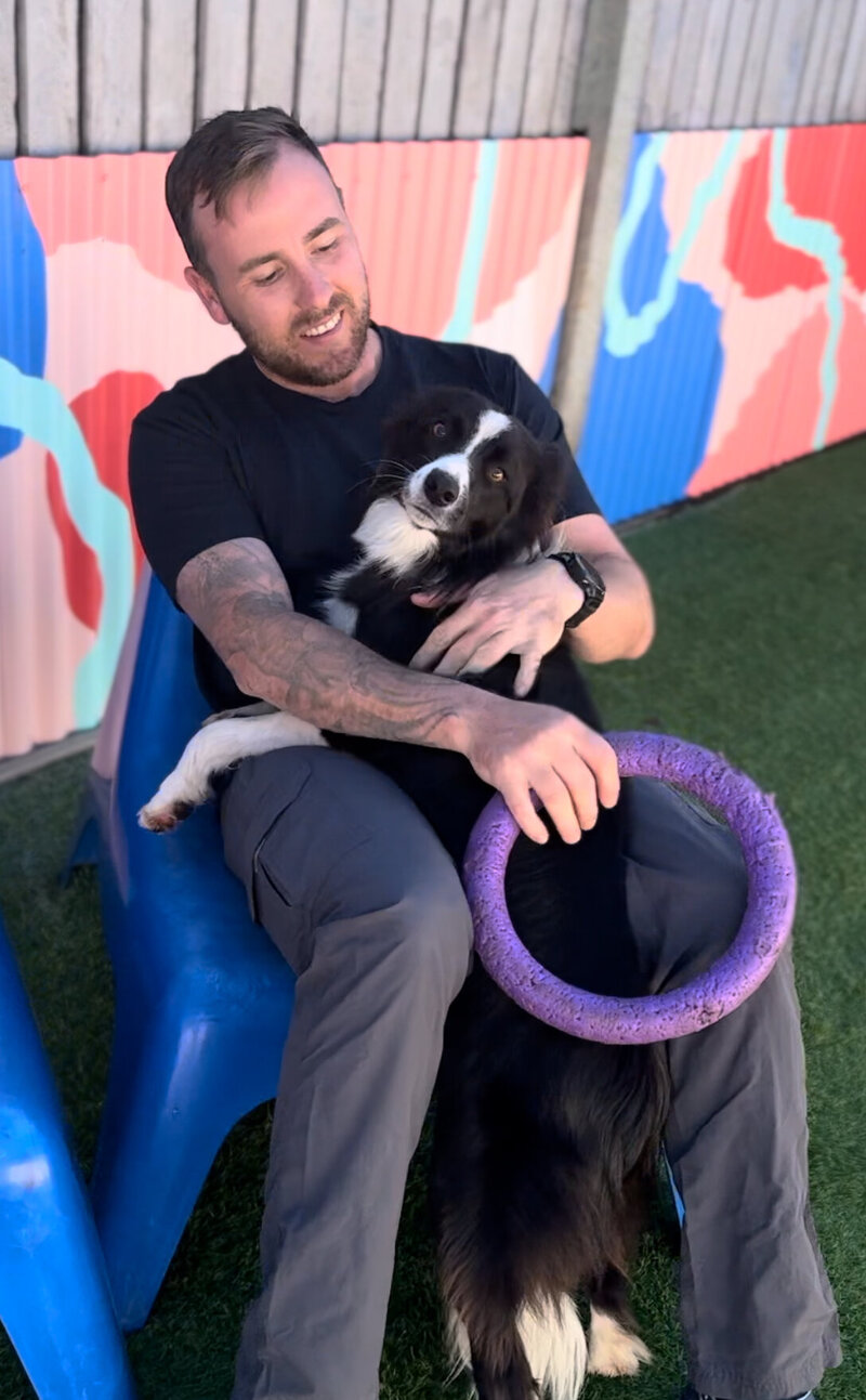 Paradise Pet Retreat Dog Kennel