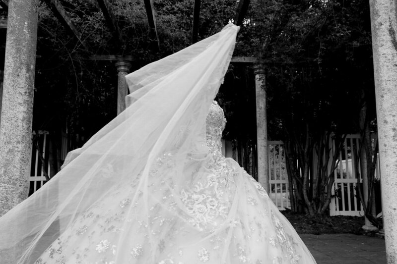 Wedding gown captured black and white