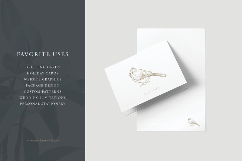 Bird_Illustrations_-_Hand-Drawn_Vectors_-_Sarah_Ann_Design4