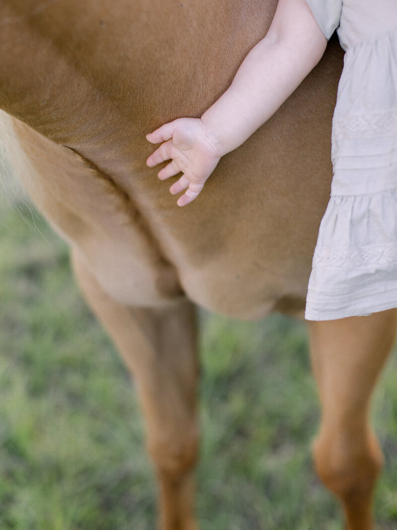 closeup of little girl petting her palomino horse on a horse farm with soft pastel color pallet by NH family photographer Fieldstone Studio.
