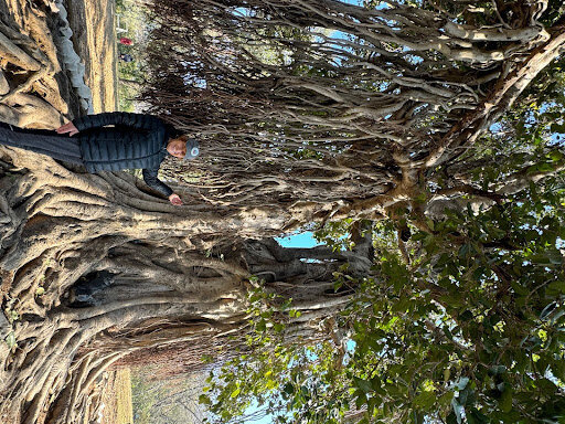 Author Beth Harkins, wearing black,  posing by large trees with exposed roots .