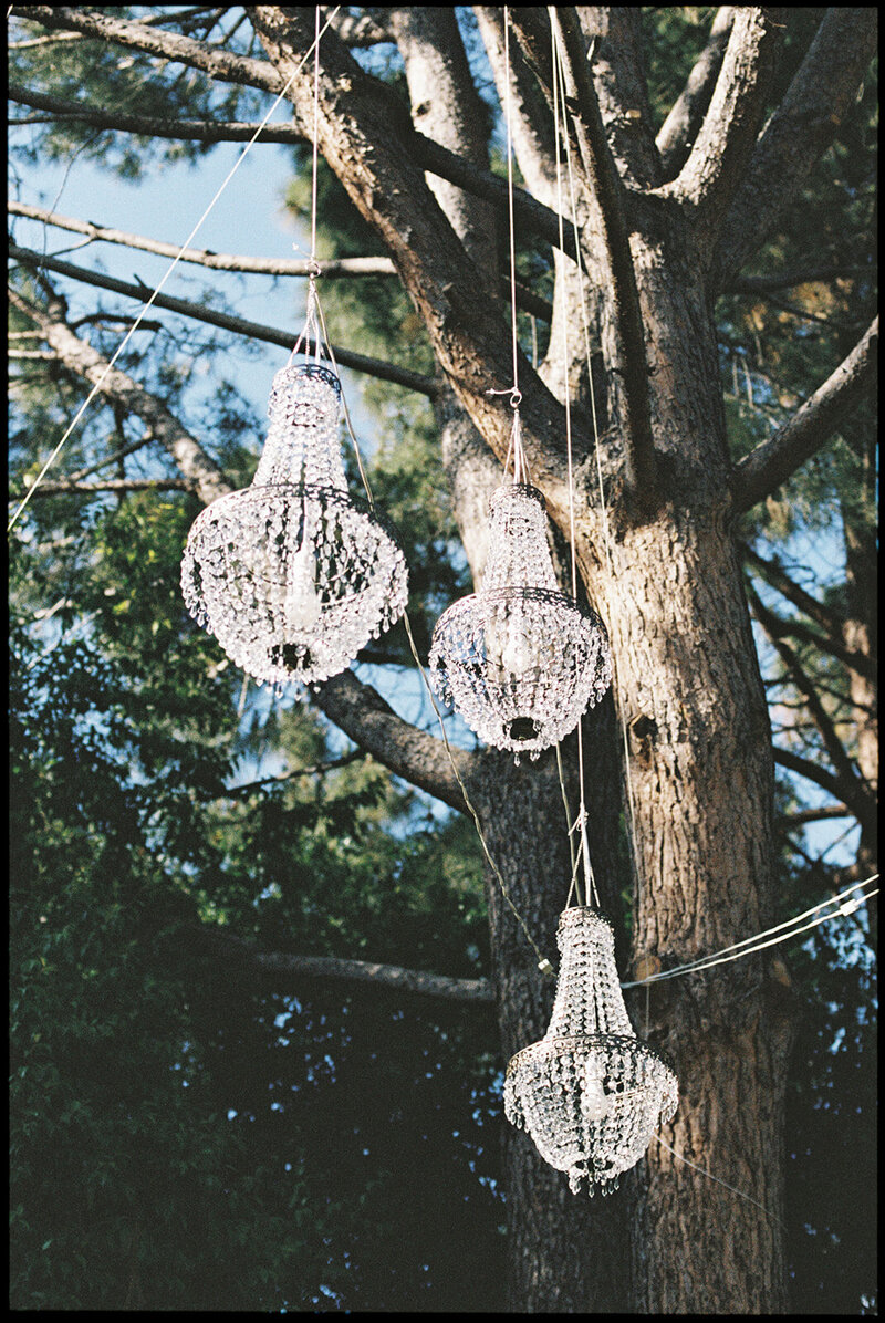 Malaya Images - Emma and Mac 053125 - Film Scans (112 of 158)_websize