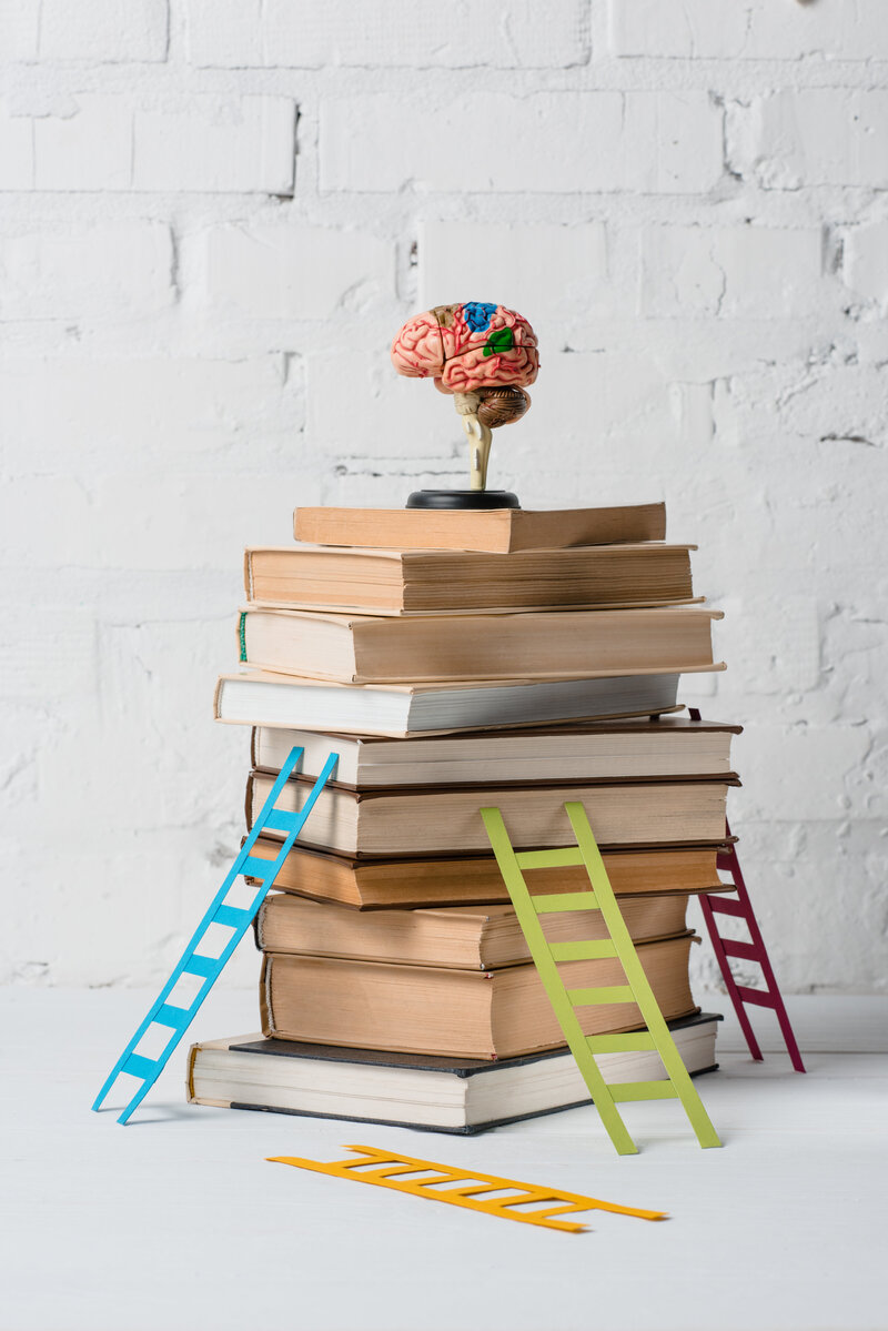 brain-model-on-pile-of-books-and-small-colorful-st-8UPSXQA
