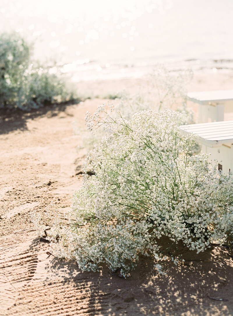 The Dunes Palm Beach Sydney Beach Wedding Venue by Timeless Film Destination Wedding Photographer Sheri McMahon-37